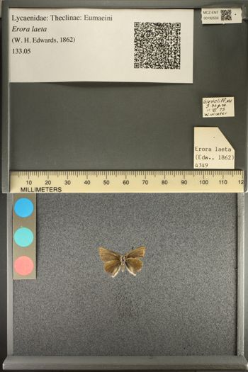 Media type: image;   Entomology 192556